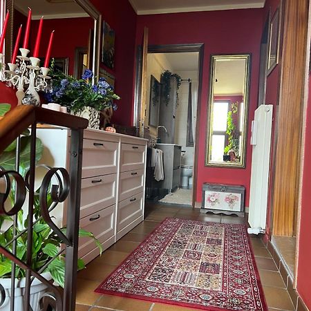 Casa Serenella B&B - Casa Vacanze 布伦塔河畔皮亚佐拉 外观 照片