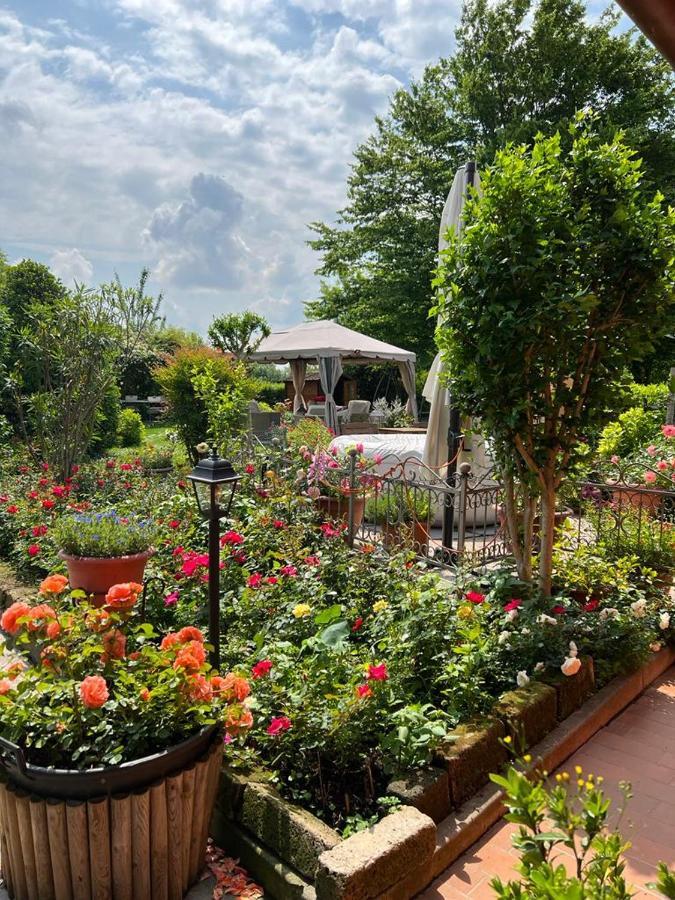 Casa Serenella B&B - Casa Vacanze 布伦塔河畔皮亚佐拉 外观 照片