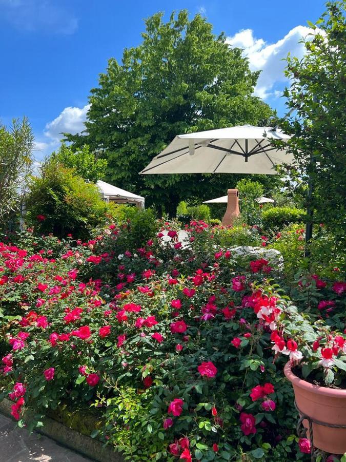 Casa Serenella B&B - Casa Vacanze 布伦塔河畔皮亚佐拉 外观 照片